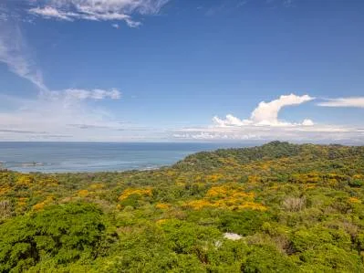 Paraiso encontrado en Dominicalito, photo 9