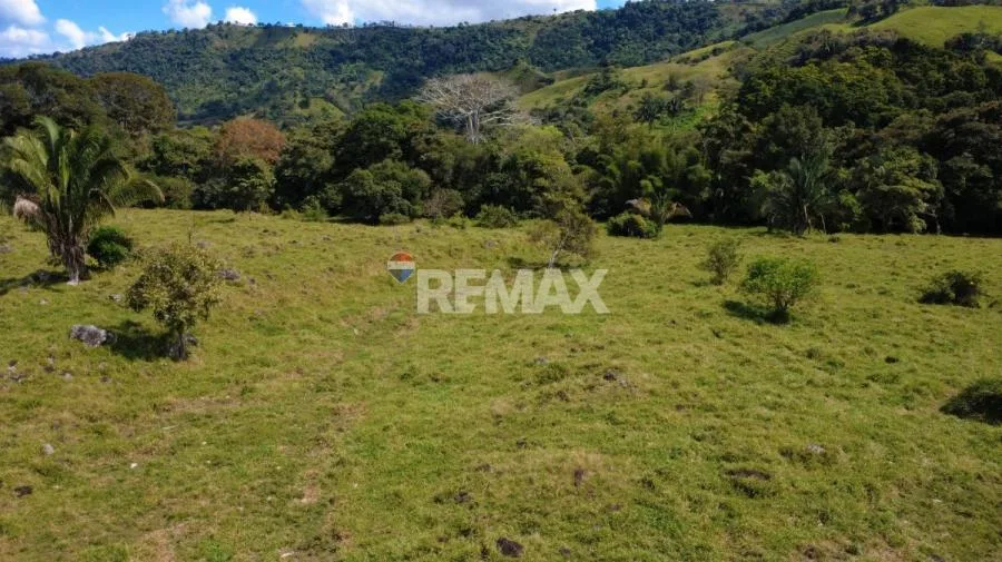 FINCA GANADERA 27 HECTÁREAS EN PÉREZ ZELEDÓN - Venta en Perez Zeledón, photo 13