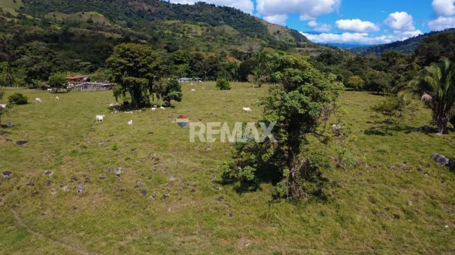 FINCA GANADERA 27 HECTÁREAS EN PÉREZ ZELEDÓN - Venta en Perez Zeledón, photo 6