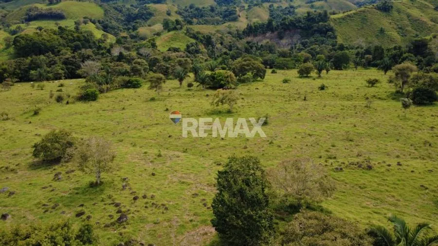 FINCA GANADERA 27 HECTÁREAS EN PÉREZ ZELEDÓN - Venta en Perez Zeledón, photo 8