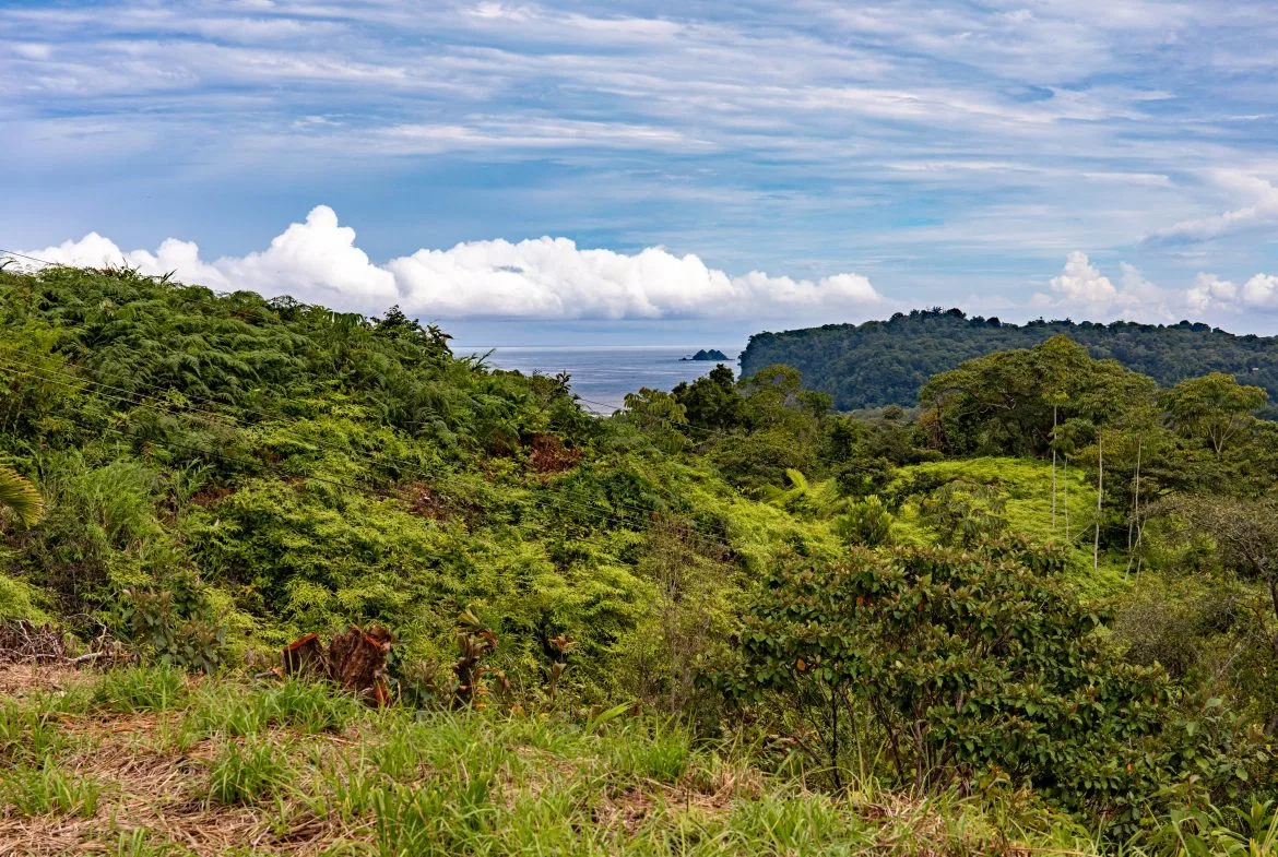 OCEAN & MOUNTAIN VIEW LOT IN OJOCHAL – 0.8 ACRES, photo 2