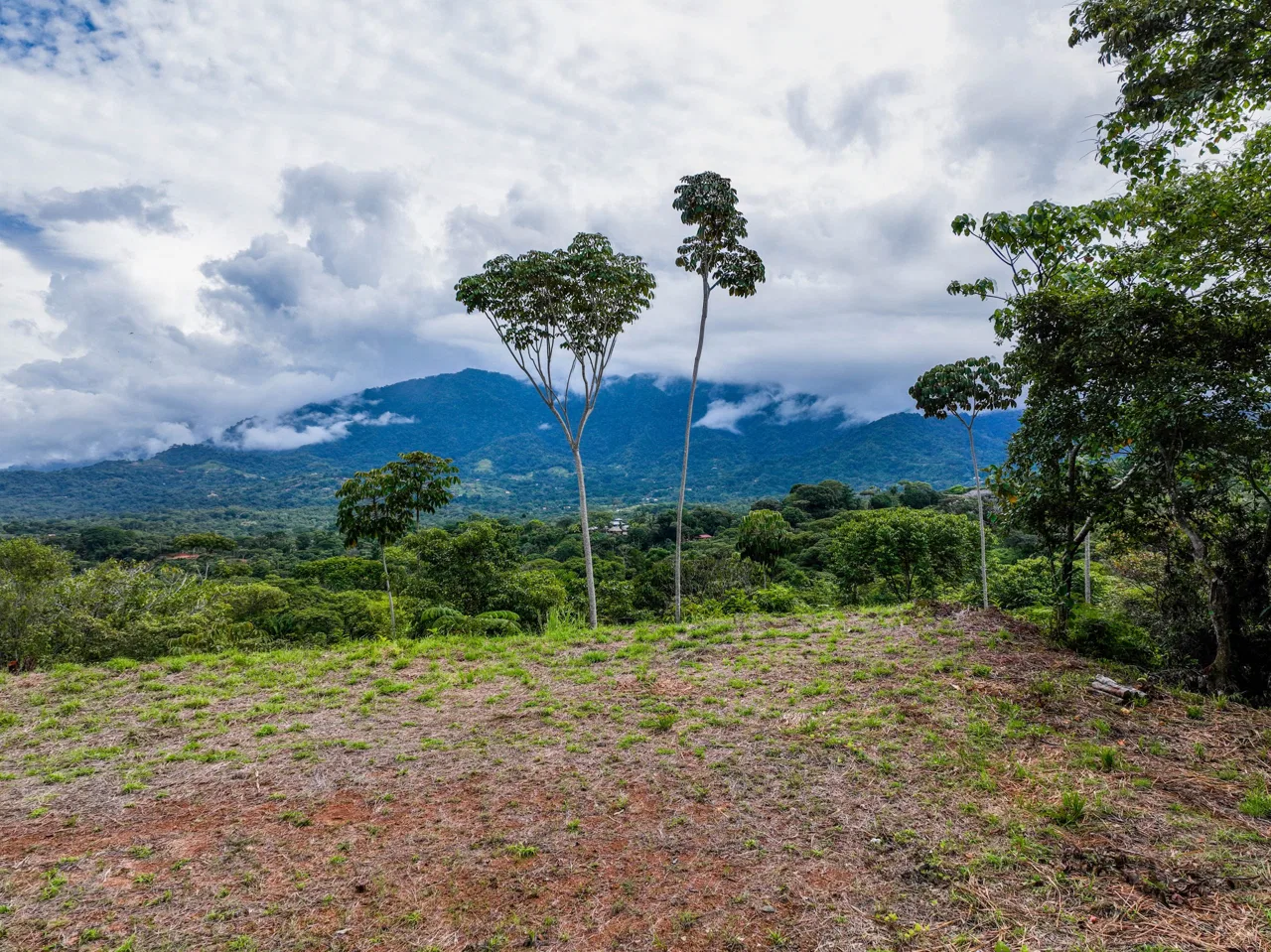 OCEAN & MOUNTAIN VIEW LOT IN OJOCHAL – 0.8 ACRES, photo 3