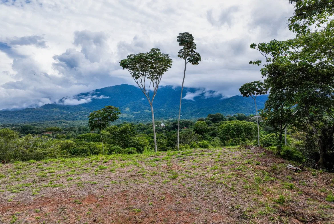 OCEAN & MOUNTAIN VIEW LOT IN OJOCHAL – 0.8 ACRES, photo 4