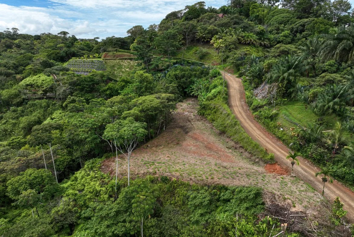 OCEAN & MOUNTAIN VIEW LOT IN OJOCHAL – 0.8 ACRES, photo 6