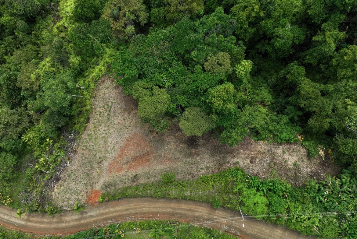 OCEAN & MOUNTAIN VIEW LOT IN OJOCHAL – 0.8 ACRES, photo 8