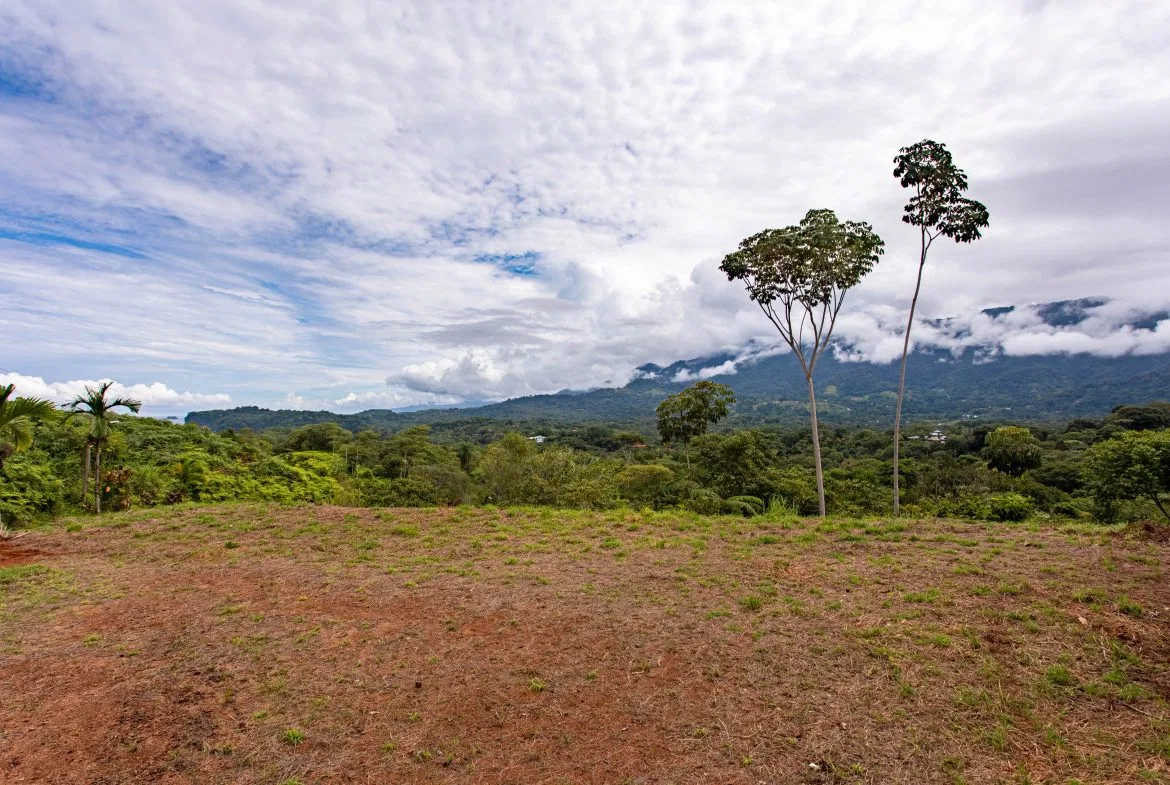 OCEAN & MOUNTAIN VIEW LOT IN OJOCHAL – 0.8 ACRES, photo 10