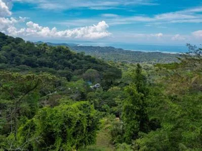 MOUNTAIN PROPERTY WITH THREE BEDROOMS AND OCEAN VIEWS, IN OJOCHAL – 4.86 ACRES, photo 28