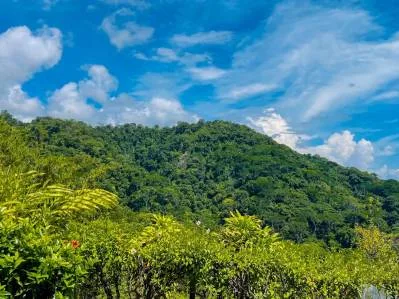 MOUNTAIN PROPERTY WITH THREE BEDROOMS AND OCEAN VIEWS, IN OJOCHAL – 4.86 ACRES, photo 31