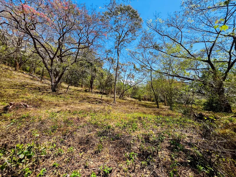 Land For Sale in Playa San Miguel