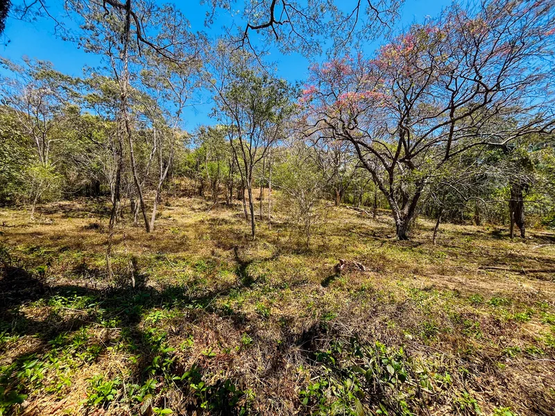 Land For Sale in Playa San Miguel, photo 2