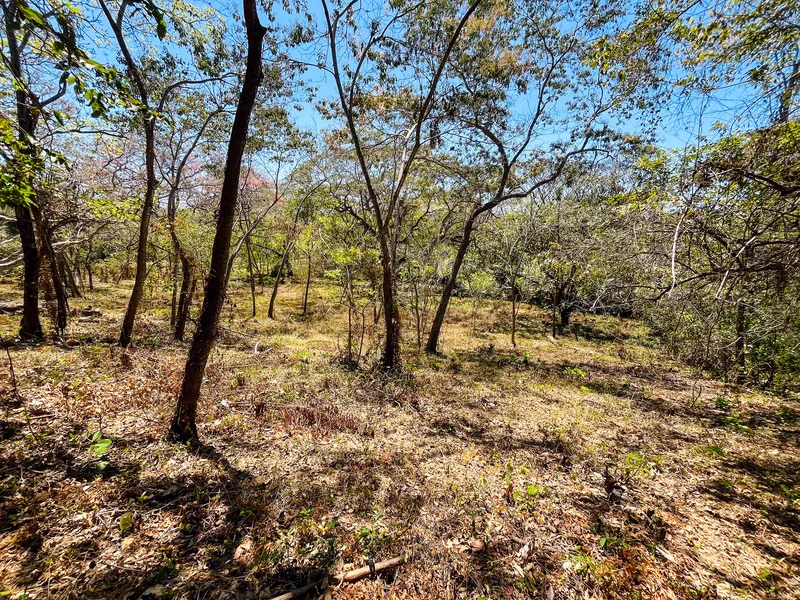 Land For Sale in Playa San Miguel, photo 3