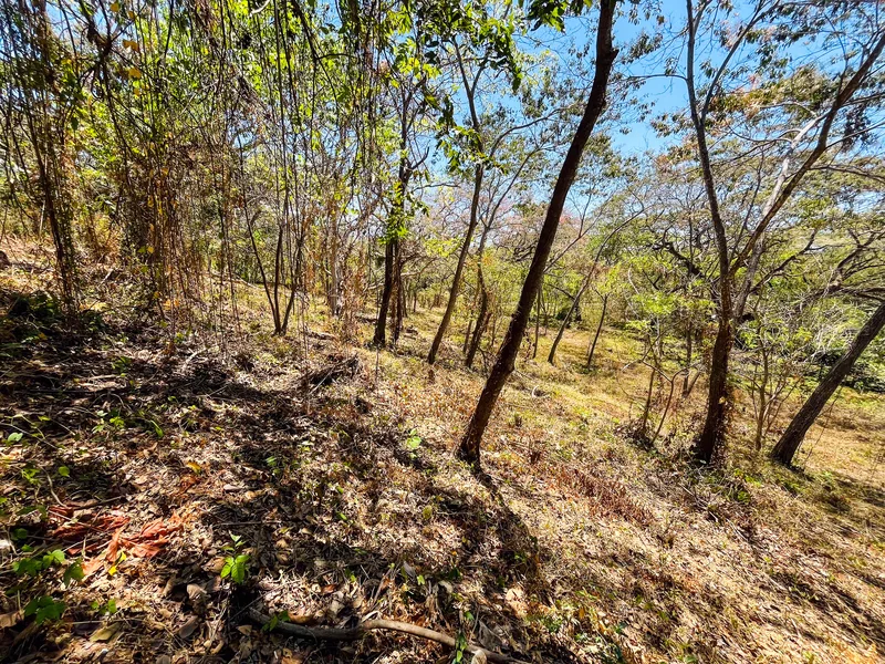 Land For Sale in Playa San Miguel, photo 4