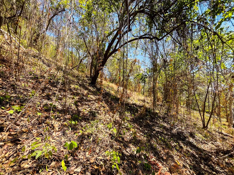 Land For Sale in Playa San Miguel, photo 5