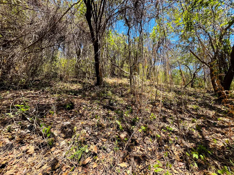 Land For Sale in Playa San Miguel, photo 6
