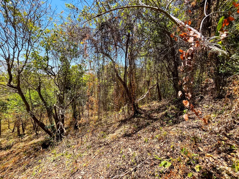 Land For Sale in Playa San Miguel, photo 7