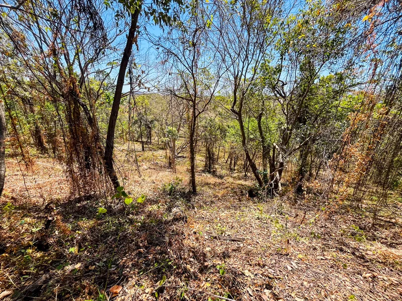 Land For Sale in Playa San Miguel, photo 8