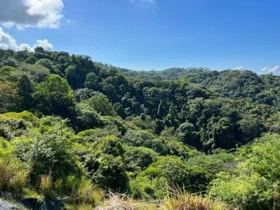 Cinematic Ocean&Mountain View Property In Vista Dominical Estate, Minutes From The Beach!, photo 9