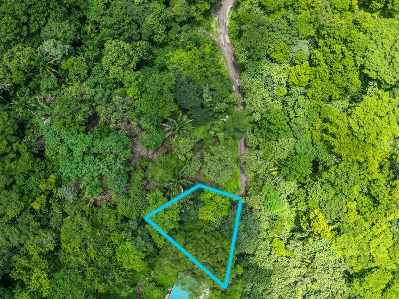 Land For Sale in Nosara, photo 3