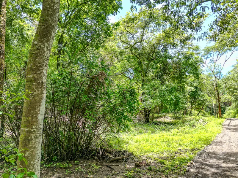 Land For Sale in Nosara, photo 4
