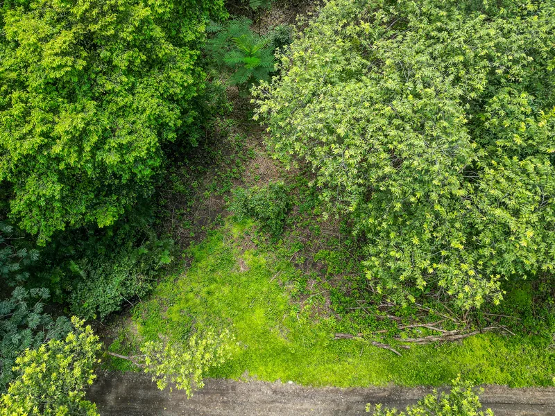Land For Sale in Nosara, photo 5