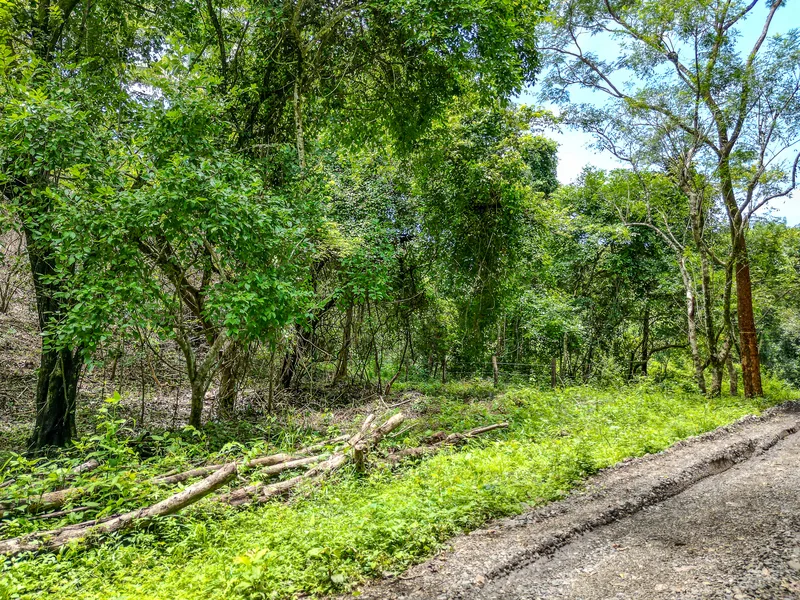 Land For Sale in Nosara, photo 6