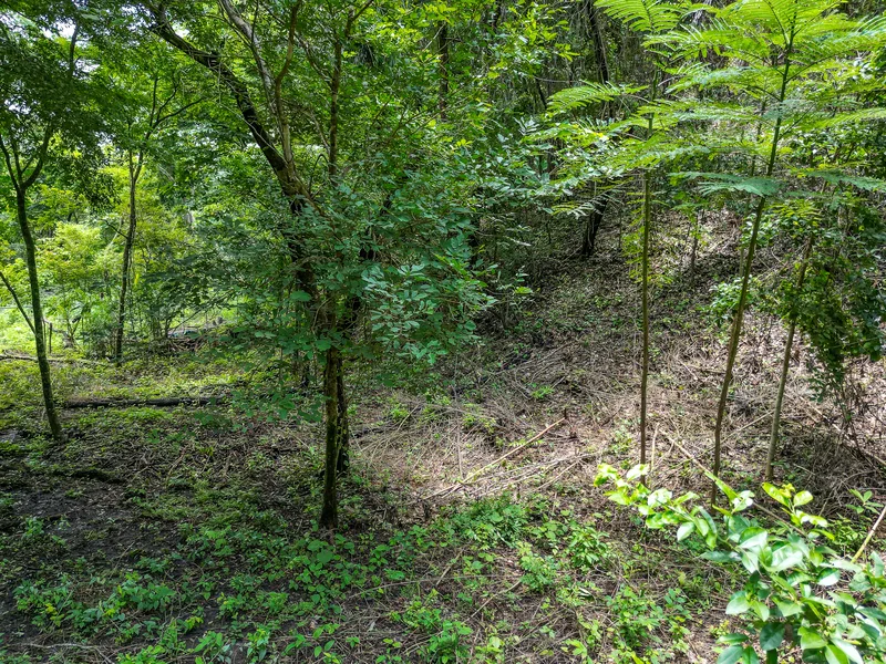 Land For Sale in Nosara, photo 7