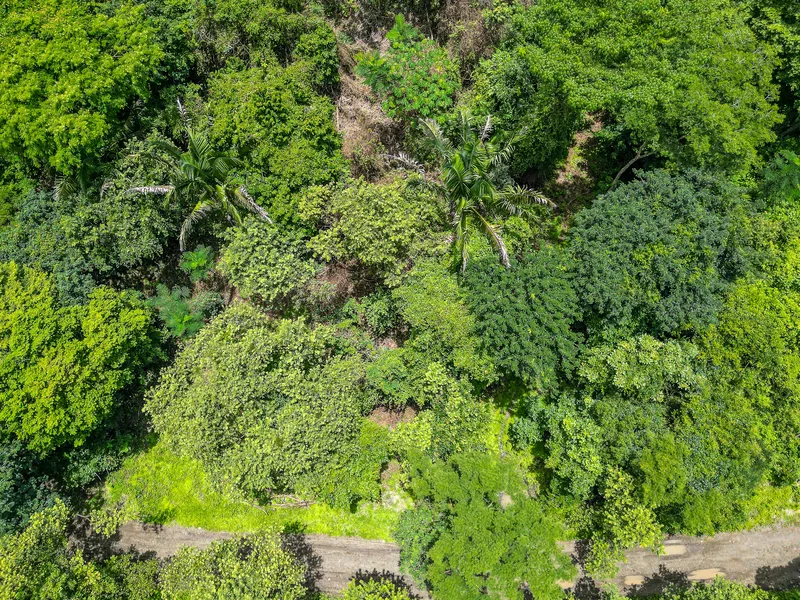 Land For Sale in Nosara, photo 8