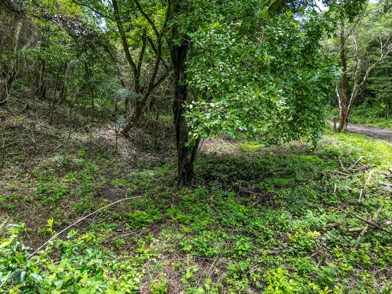 Land For Sale in Nosara, photo 9