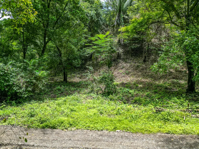 Land For Sale in Nosara, photo 10