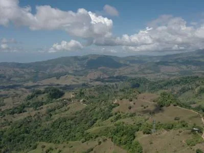 177.8 Acres Of Coastal Mountain Forested Land, photo 3