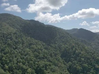177.8 Acres Of Coastal Mountain Forested Land, photo 4