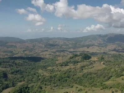 177.8 Acres Of Coastal Mountain Forested Land, photo 7