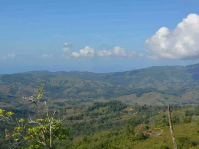 177.8 Acres Of Coastal Mountain Forested Land, photo 8