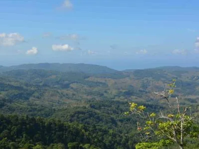 177.8 Acres Of Coastal Mountain Forested Land, photo 9