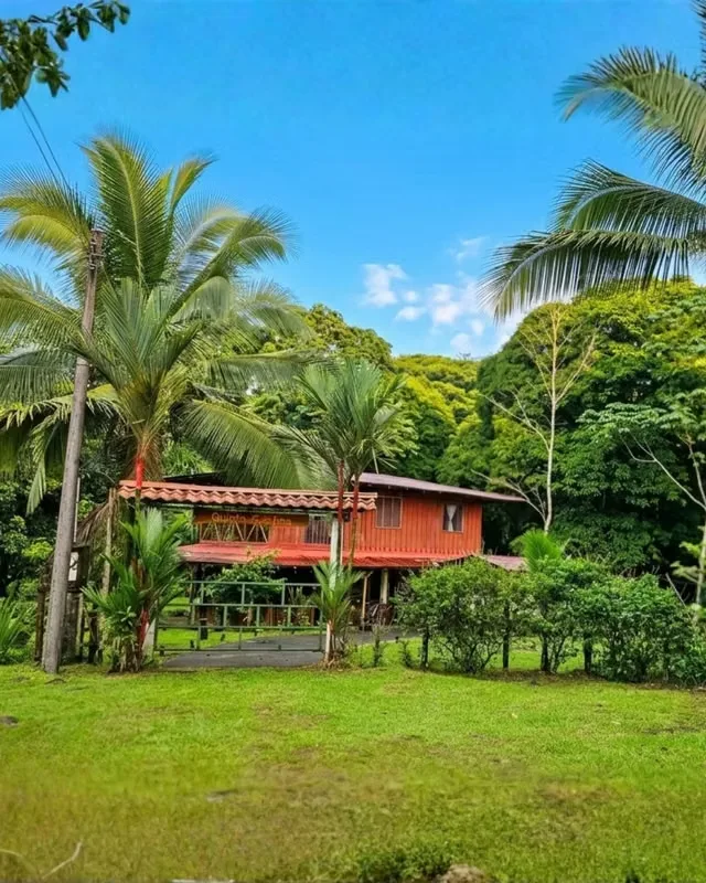 # Terreno en Venta en Guápiles – 10,000 m² con Casa