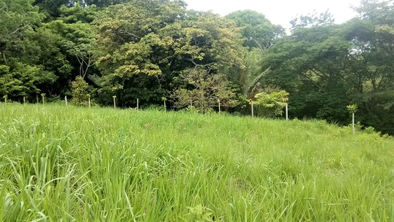 LOTS FOR SALE NEAR BEACH COYOTE - GUANACASTE (GP 1307 - 1)