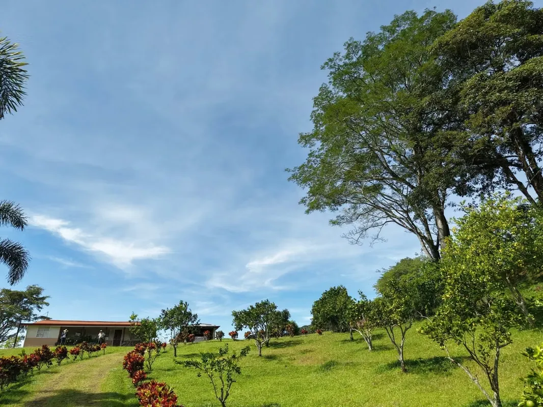Farm with Private Waterfall for Sale – Santiago de Puriscal, photo 11