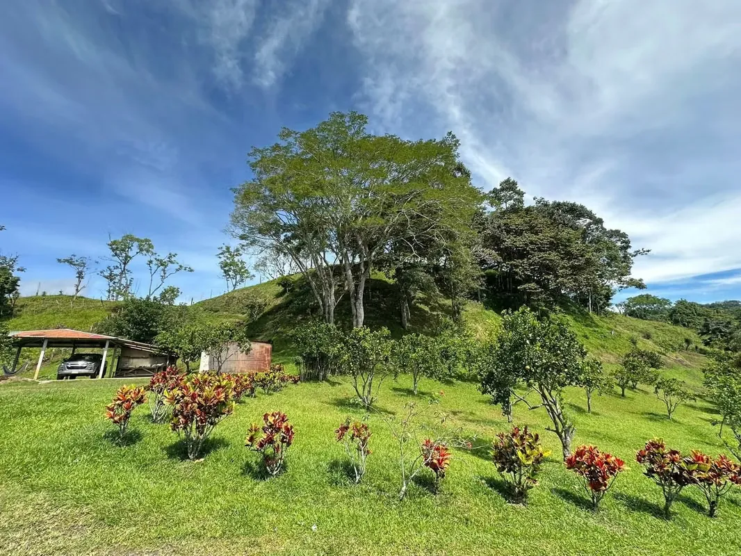 Farm with Private Waterfall for Sale – Santiago de Puriscal, photo 12