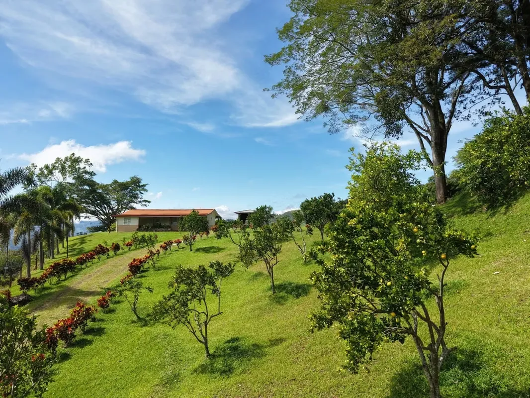 Farm with Private Waterfall for Sale – Santiago de Puriscal, photo 7