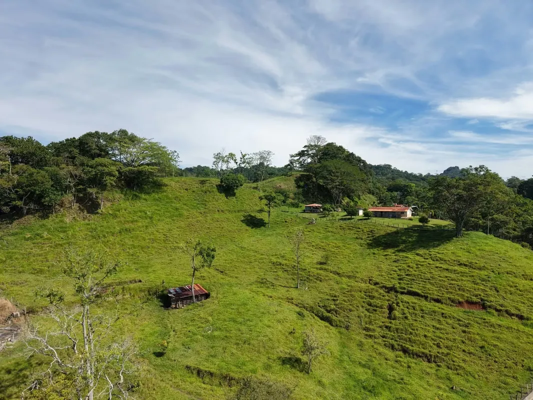 Farm with Private Waterfall for Sale – Santiago de Puriscal, photo 8