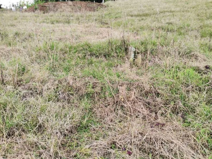 Lote en Venta en Santo Domingo, Heredia. RAH 23-703 - Venta en Santo Domingo, photo 11