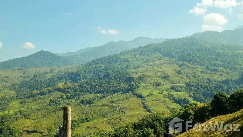 Land for Sale in Perez Zeledon, San Jose for $425,000, photo 11
