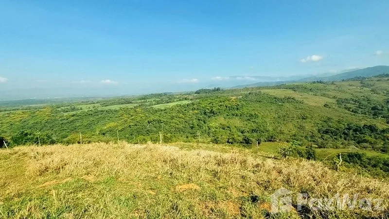 Land for Sale in Perez Zeledon, San Jose for $425,000, photo 15