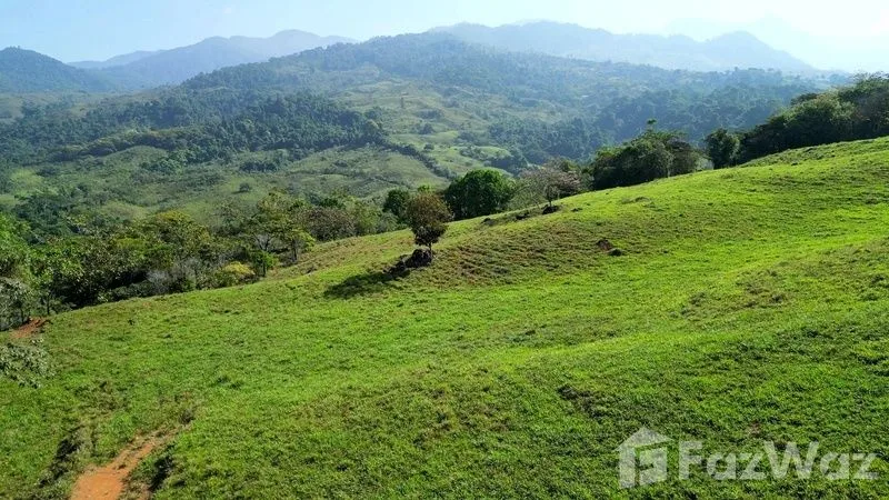 Land for Sale in Perez Zeledon, San Jose for $425,000, photo 6