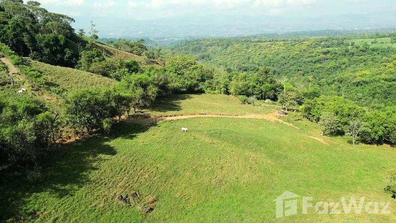 Land for Sale in Perez Zeledon, San Jose for $425,000, photo 7