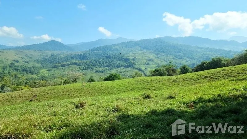 Land for Sale in Perez Zeledon, San Jose for $425,000, photo 8