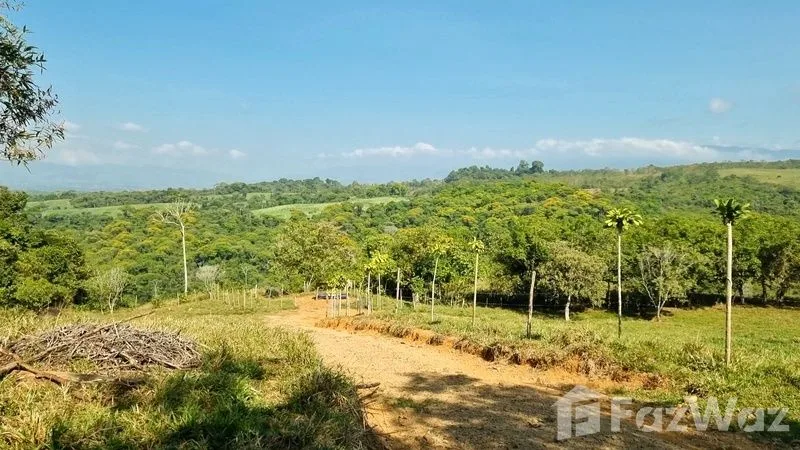 Land for Sale in Perez Zeledon, San Jose for $425,000, photo 9