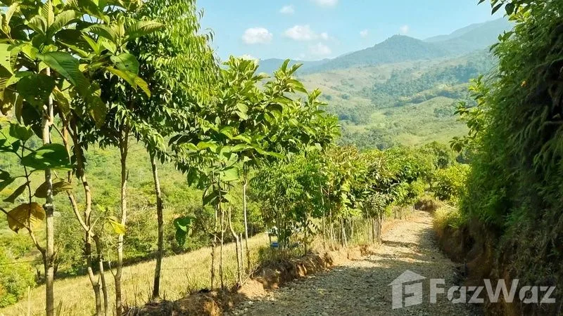 Land for Sale in Perez Zeledon, San Jose for $425,000, photo 10