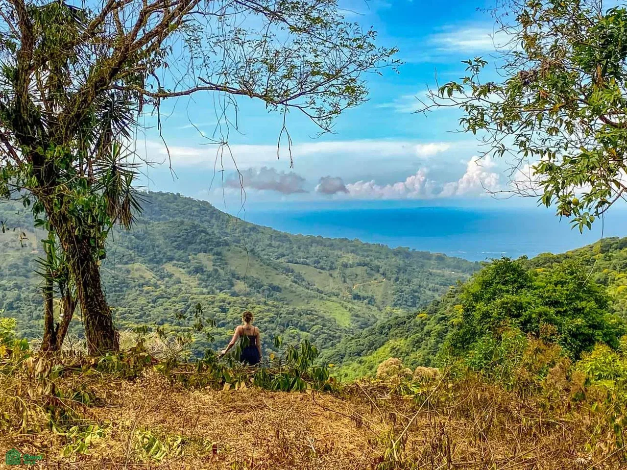 Uvita, San Josecito road, Bahía Ballena, Puntarenas 60504