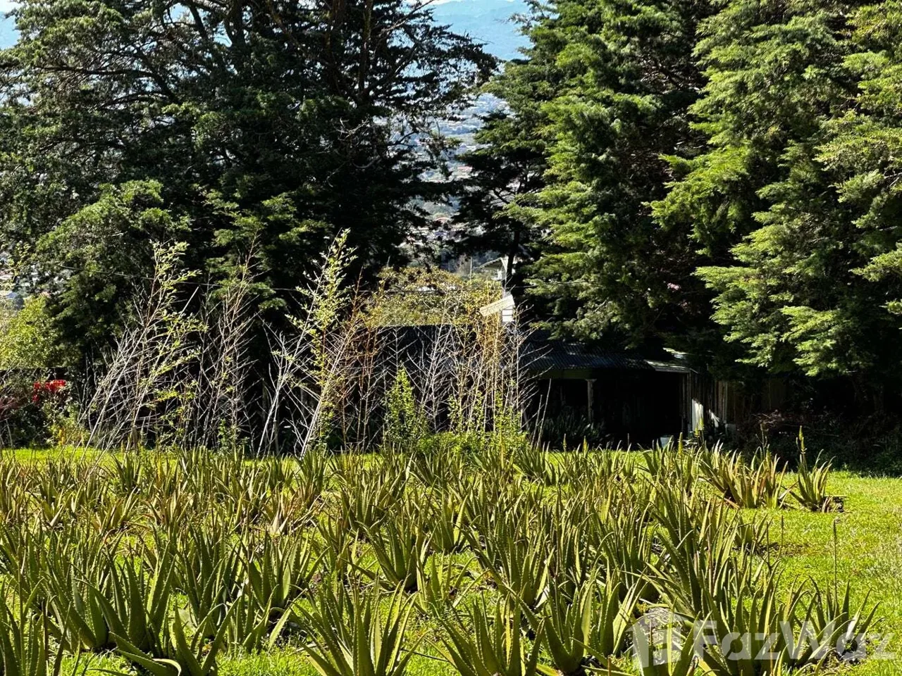 Land for Sale in San Isidro, Heredia for $680,000, photo 11